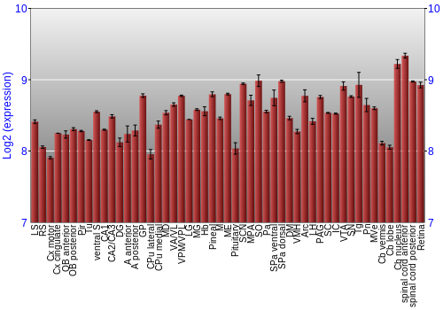 Expression graph