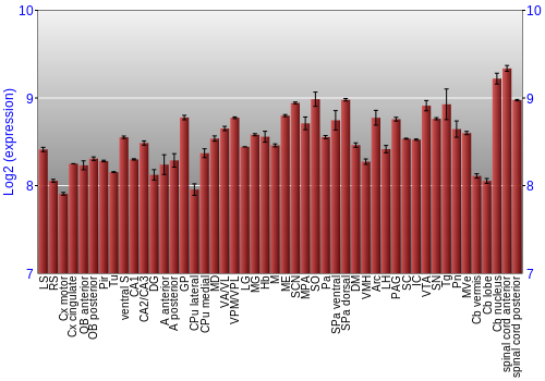 Multi-state expression graph