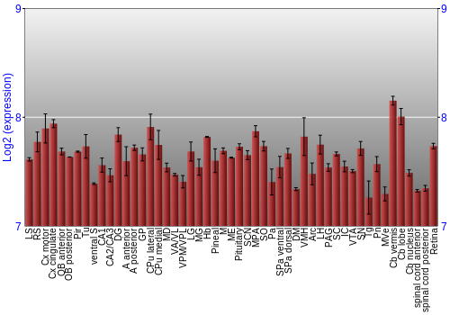 Expression graph