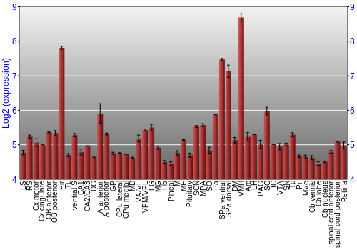 Expression graph