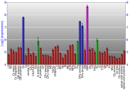 Multi-state expression graph