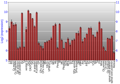 Expression graph