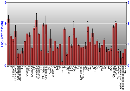 Expression graph