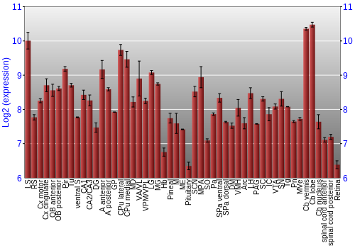 Expression graph
