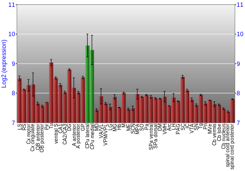 Multi-state expression graph