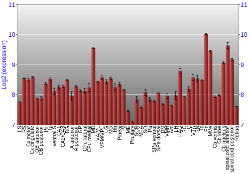 Expression graph