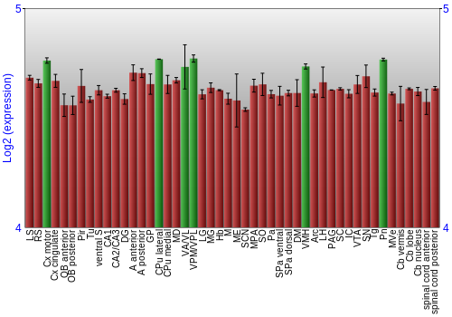 Multi-state expression graph