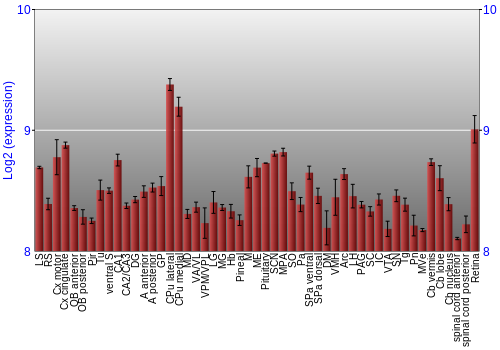 Expression graph