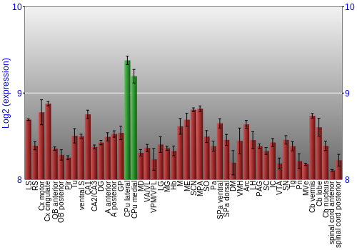 Multi-state expression graph