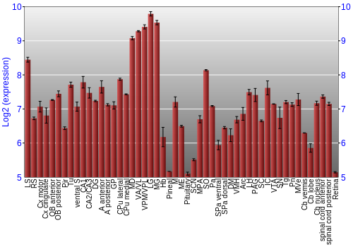 Expression graph