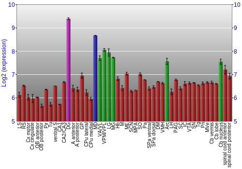 Multi-state expression graph