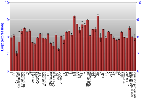 Multi-state expression graph