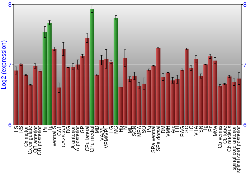 Multi-state expression graph