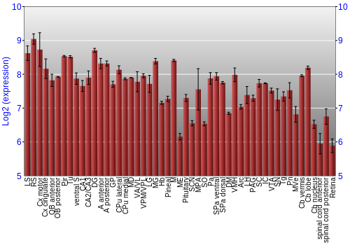 Expression graph