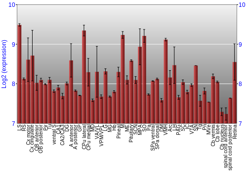 Expression graph