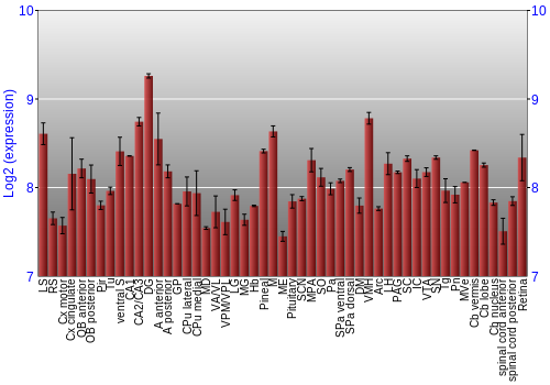 Expression graph