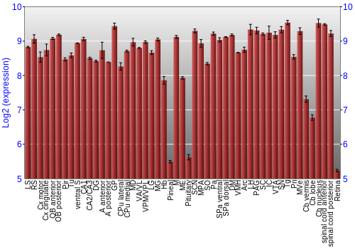 Expression graph