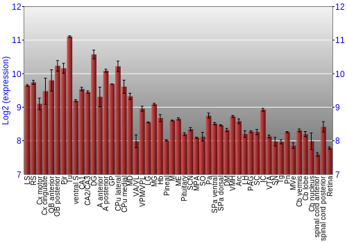 Expression graph