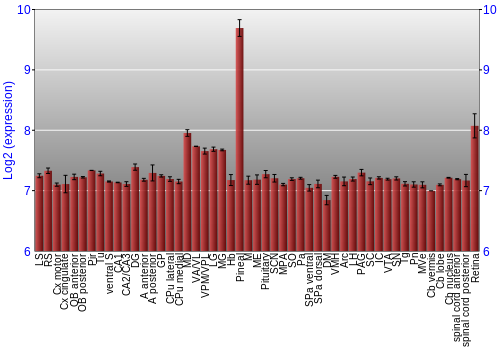 Expression graph