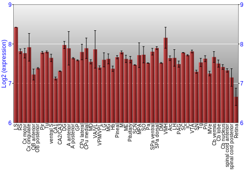 Expression graph