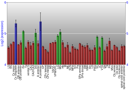 Multi-state expression graph