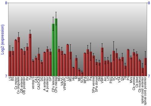 Multi-state expression graph