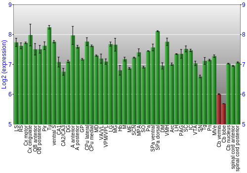 Multi-state expression graph