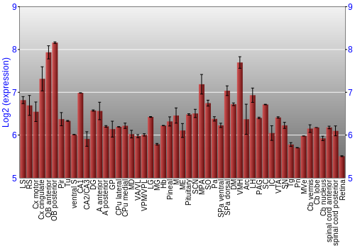 Expression graph