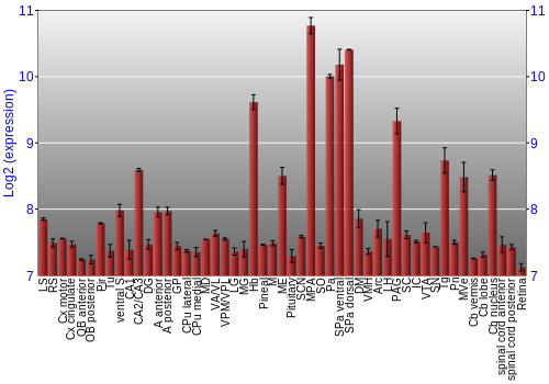 Expression graph