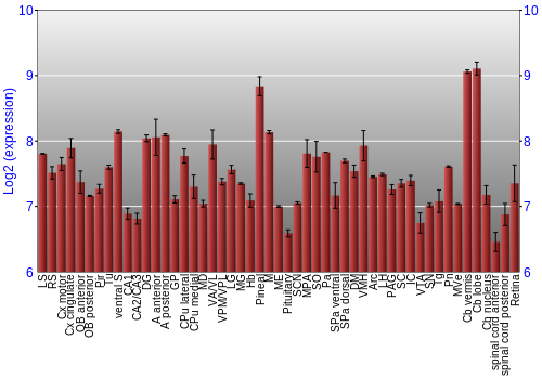 Expression graph
