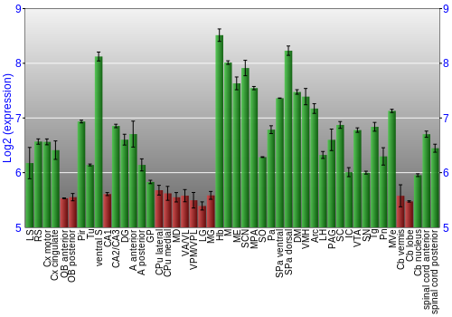 Multi-state expression graph