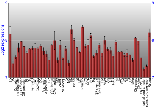 Expression graph