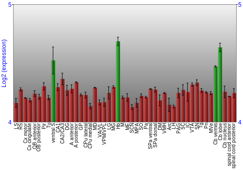 Multi-state expression graph
