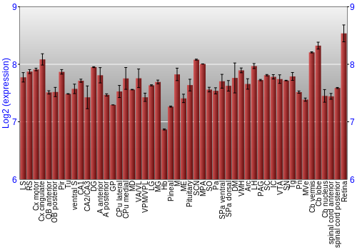 Expression graph