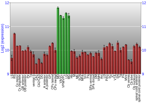 Multi-state expression graph
