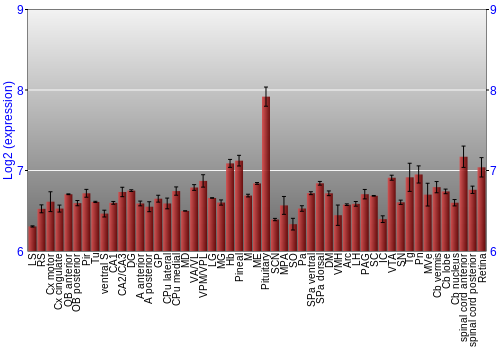 Expression graph