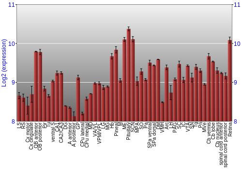 Expression graph