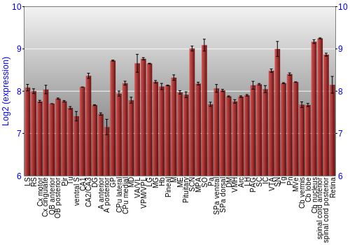 Expression graph