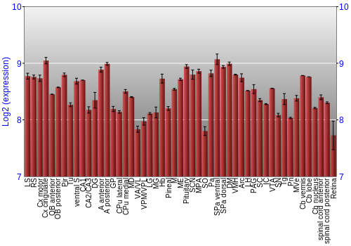 Expression graph