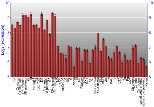 Expression graph