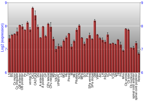 Expression graph