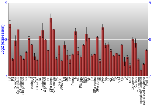 Expression graph