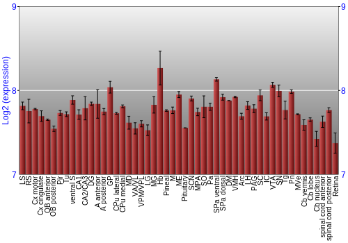 Expression graph