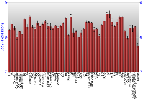 Expression graph