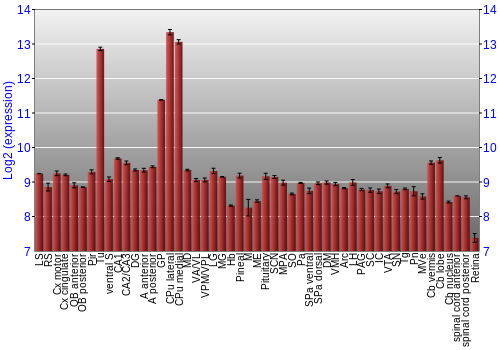 Expression graph