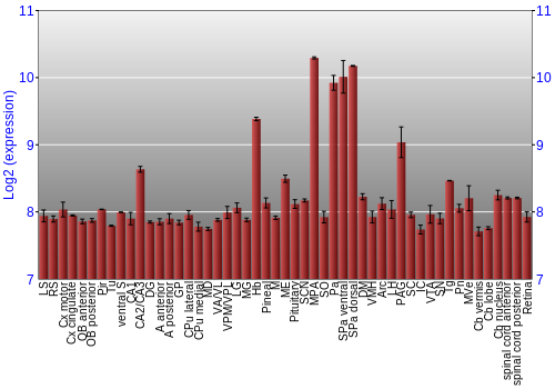 Expression graph