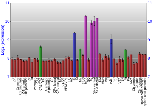 Multi-state expression graph