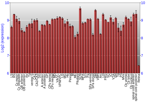 Expression graph