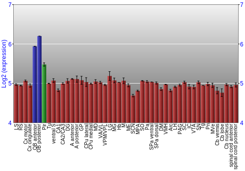 Multi-state expression graph
