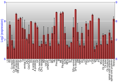 Expression graph
